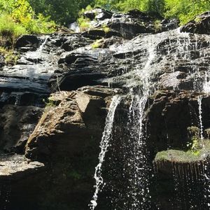 Meet your Posher, Alisha